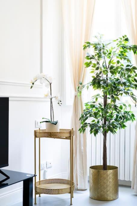 Duomo Deluxe Apartment, Firenze Dış mekan fotoğraf
